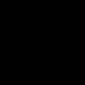 Meet your Posher, Erinn